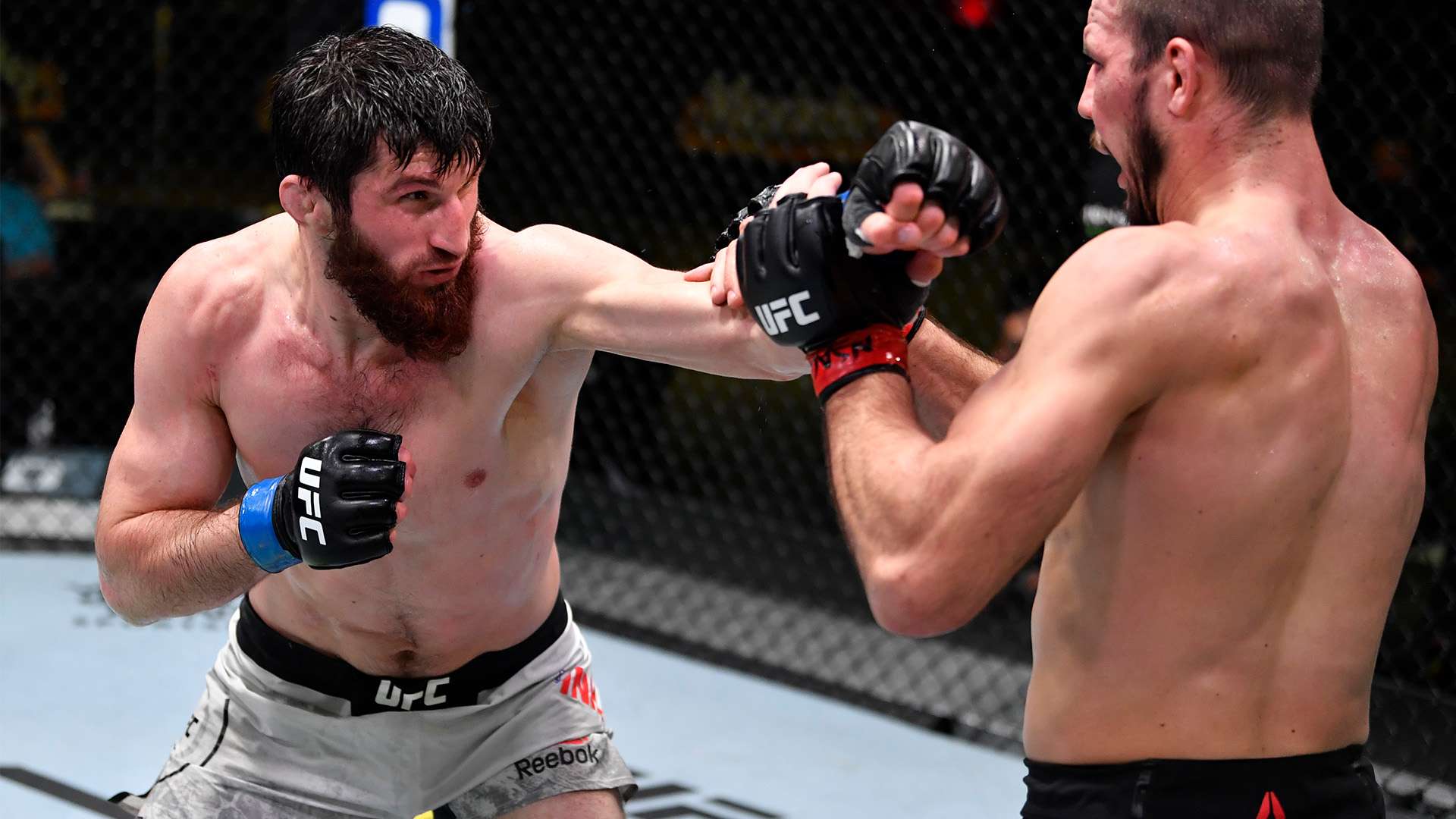 水平比赛的 水平比赛的