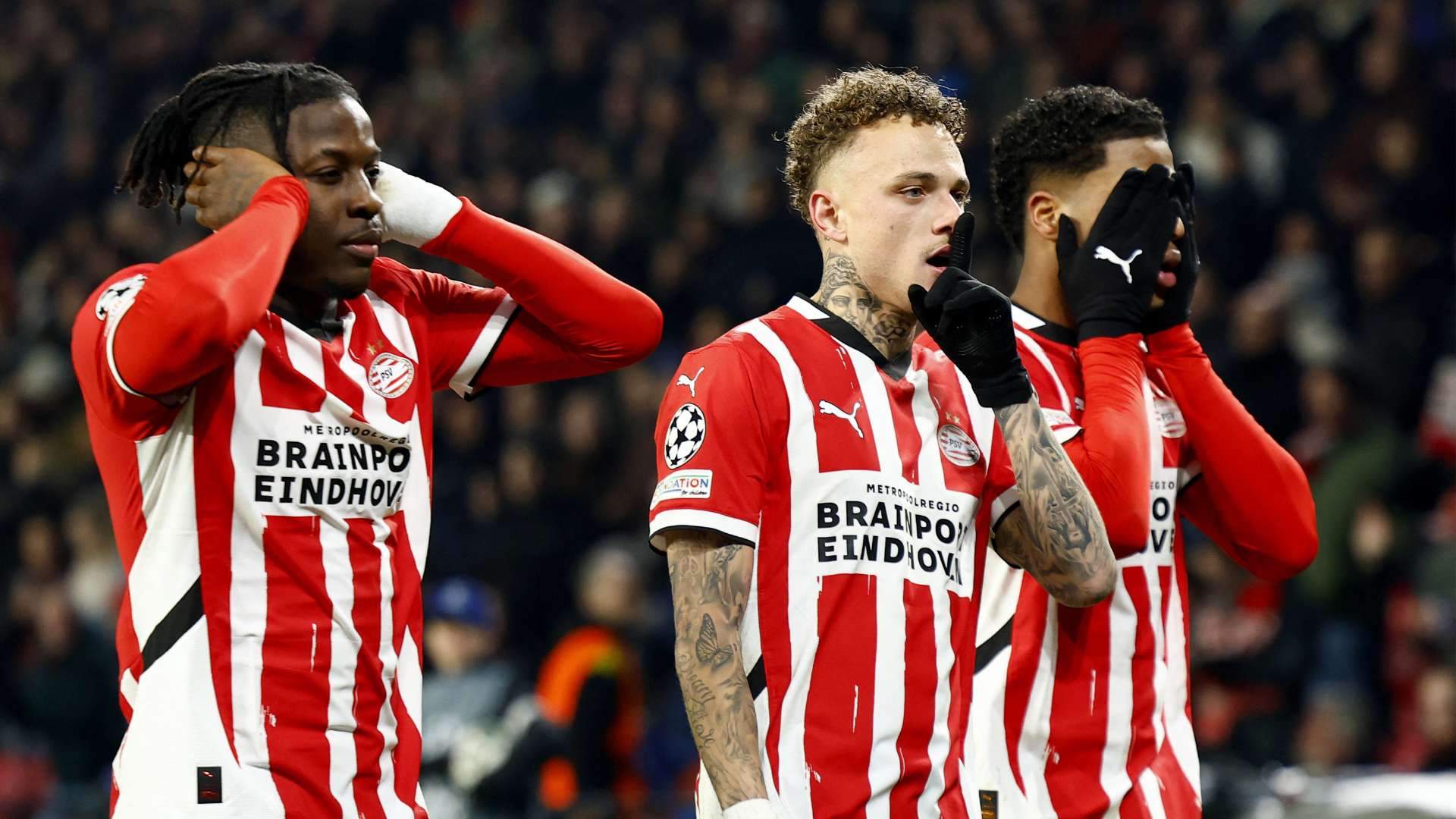 鹈鹕的名字 鹈鹕的名字